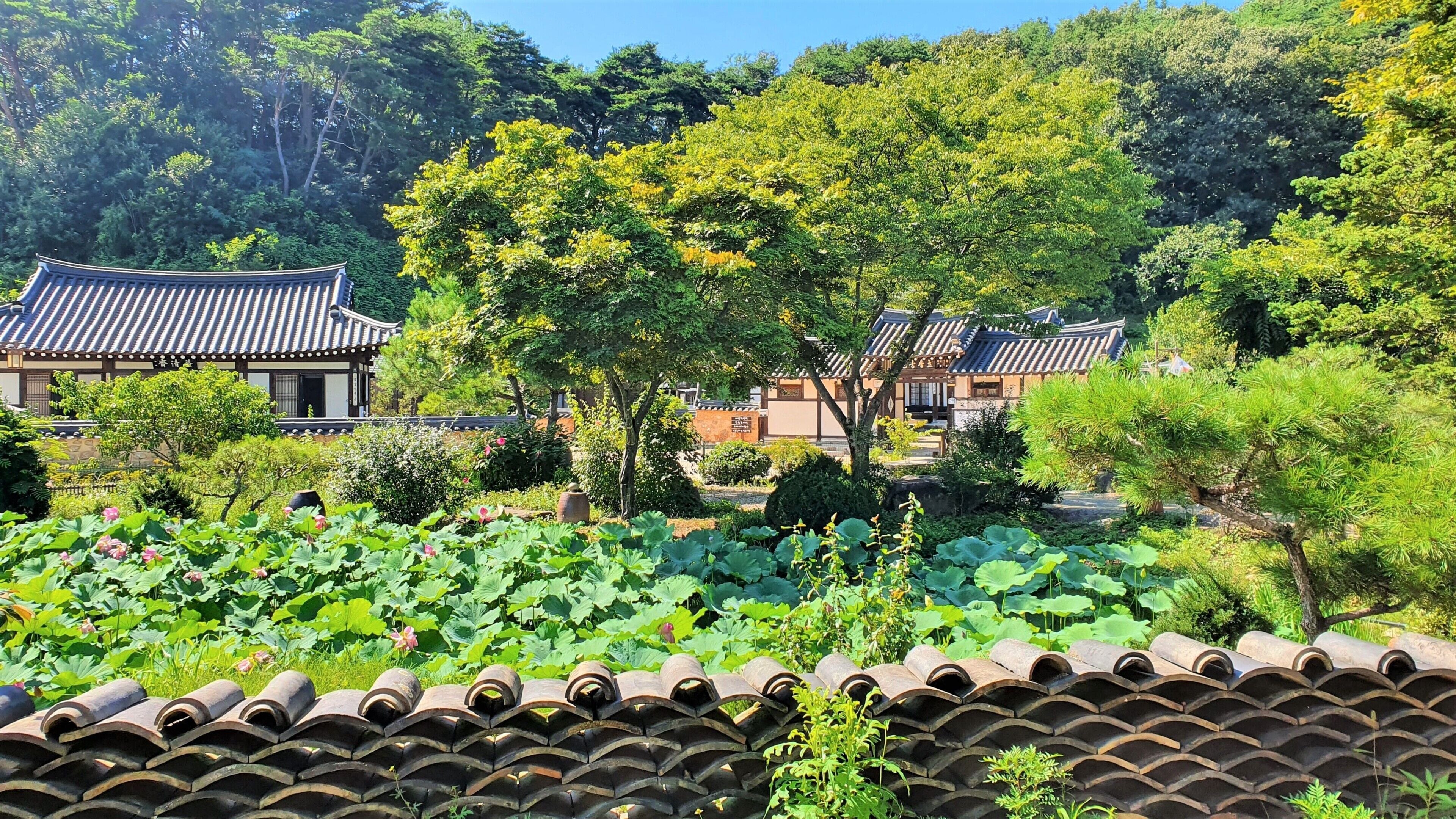 Traditional Room (Yonghojung) | Garden view