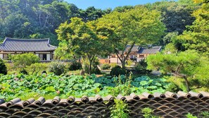 A traditional Korean-style building with a tiled roof, surrounded by lush greenery and lotus ponds.