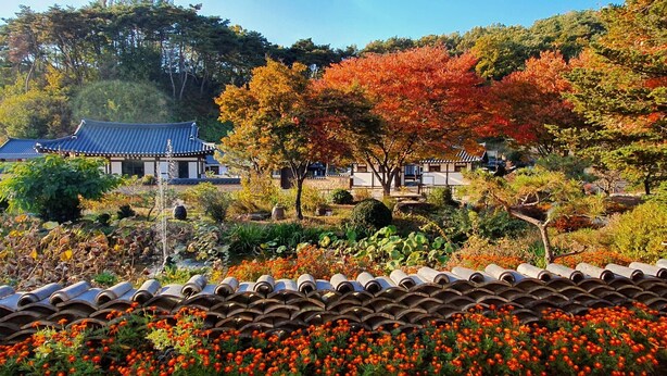 Un edificio de estilo coreano tradicional con tejado de tejas, rodeado de un jardín con plantas variadas y un estanque.
