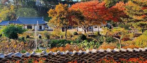 Habitación tradicional (Yonghojung) | Vista al jardín