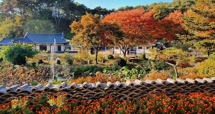 Tohyang Gotaek
