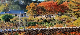 Tohyang Gotaek