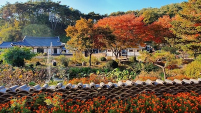 Tohyang Gotaek