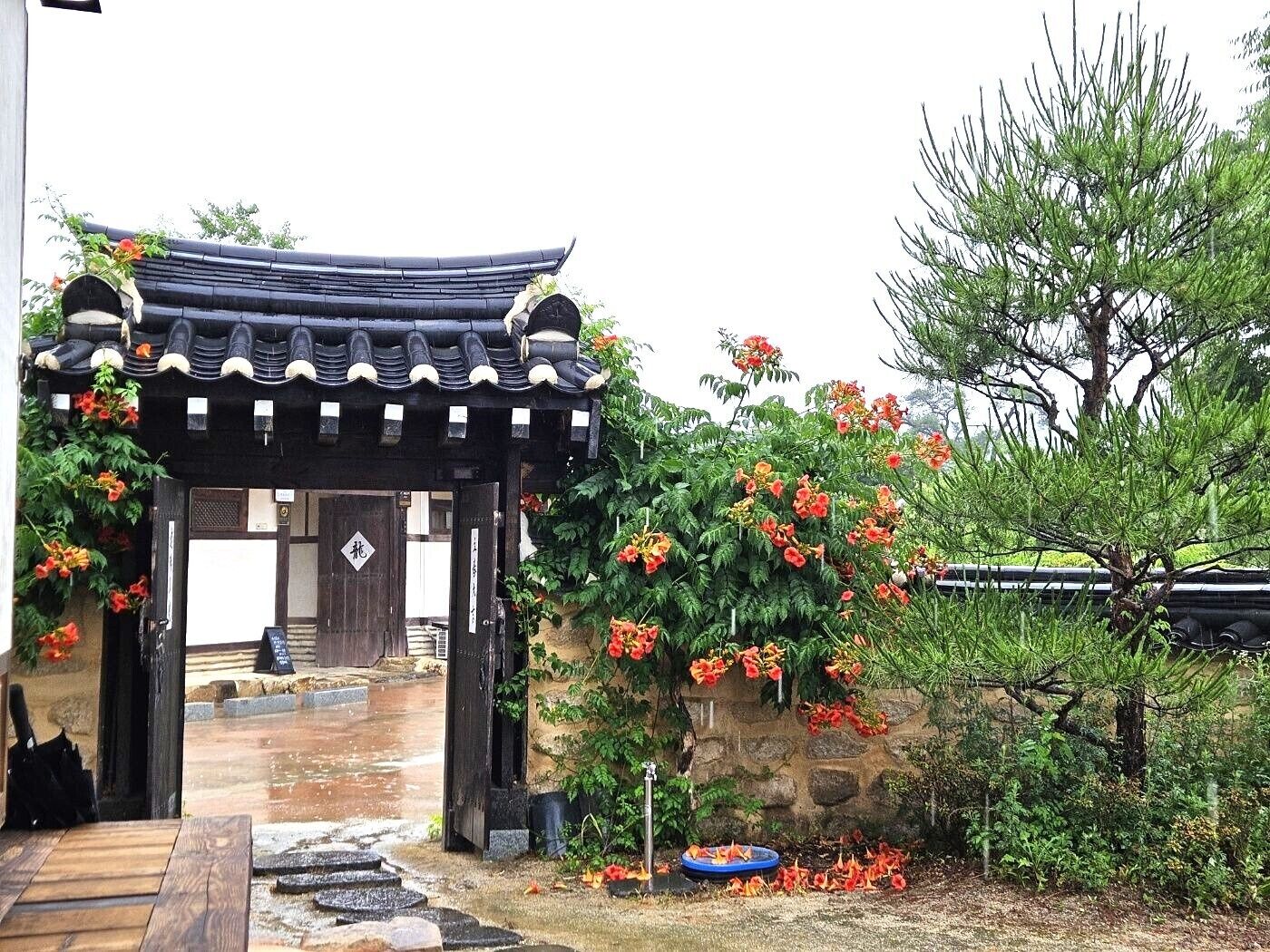 واي فاي مجانًا وملاءات أسرّة