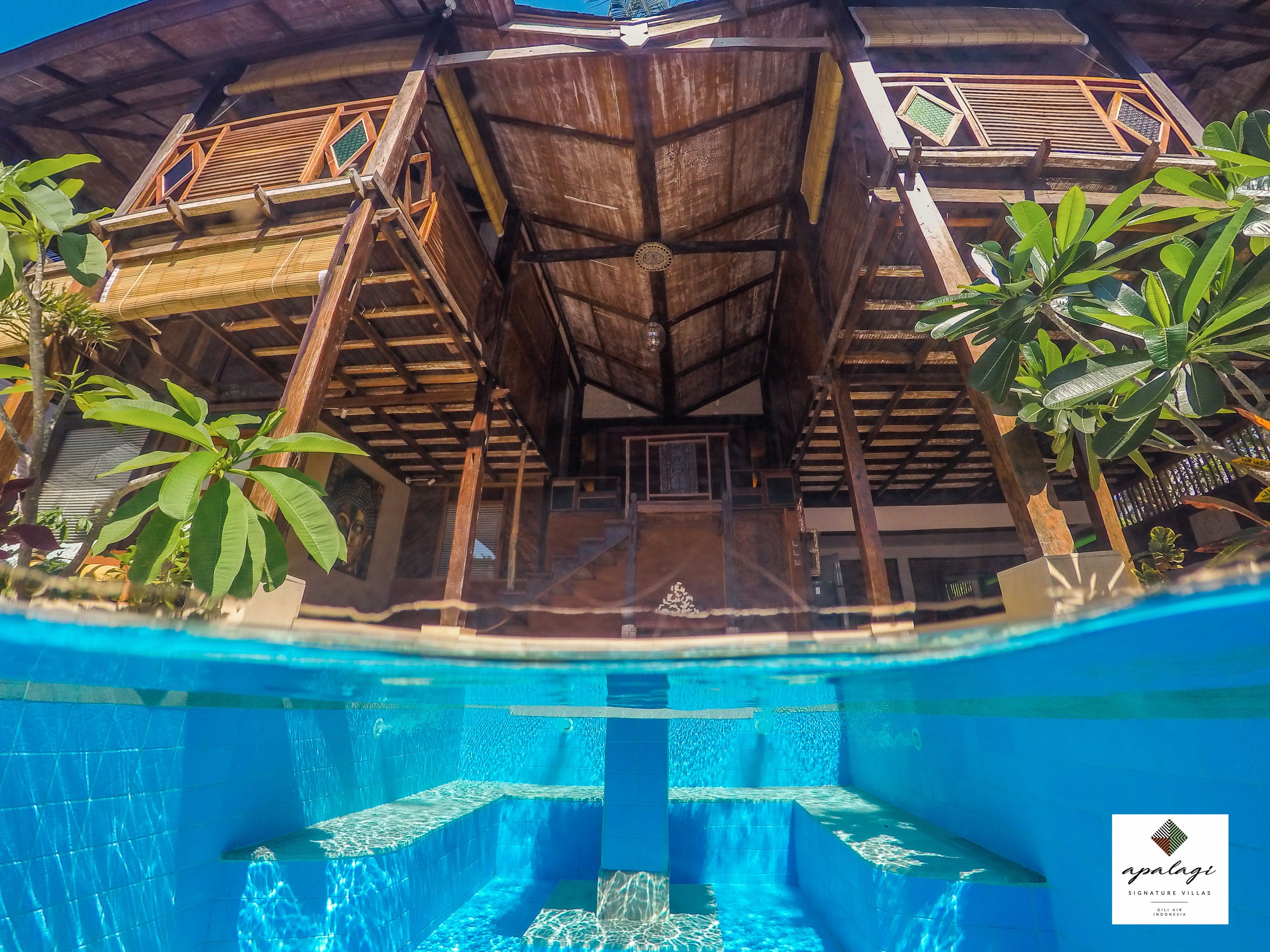 Vue d’un espace autour d’une piscine, avec une terrasse en bois, des palmiers et une piscine à l’eau d’un bleu limpide.