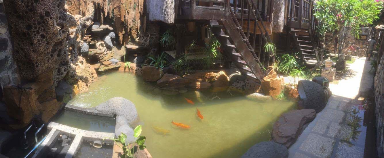 A koi pond with rocks and a wooden bridge in a rustic setting.