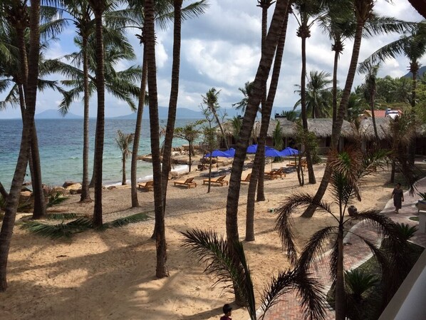 Una playa con palmeras, sillas de descanso y sombrillas.