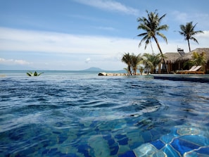 Vista despejada de una piscina con vistas al océano y palmeras.