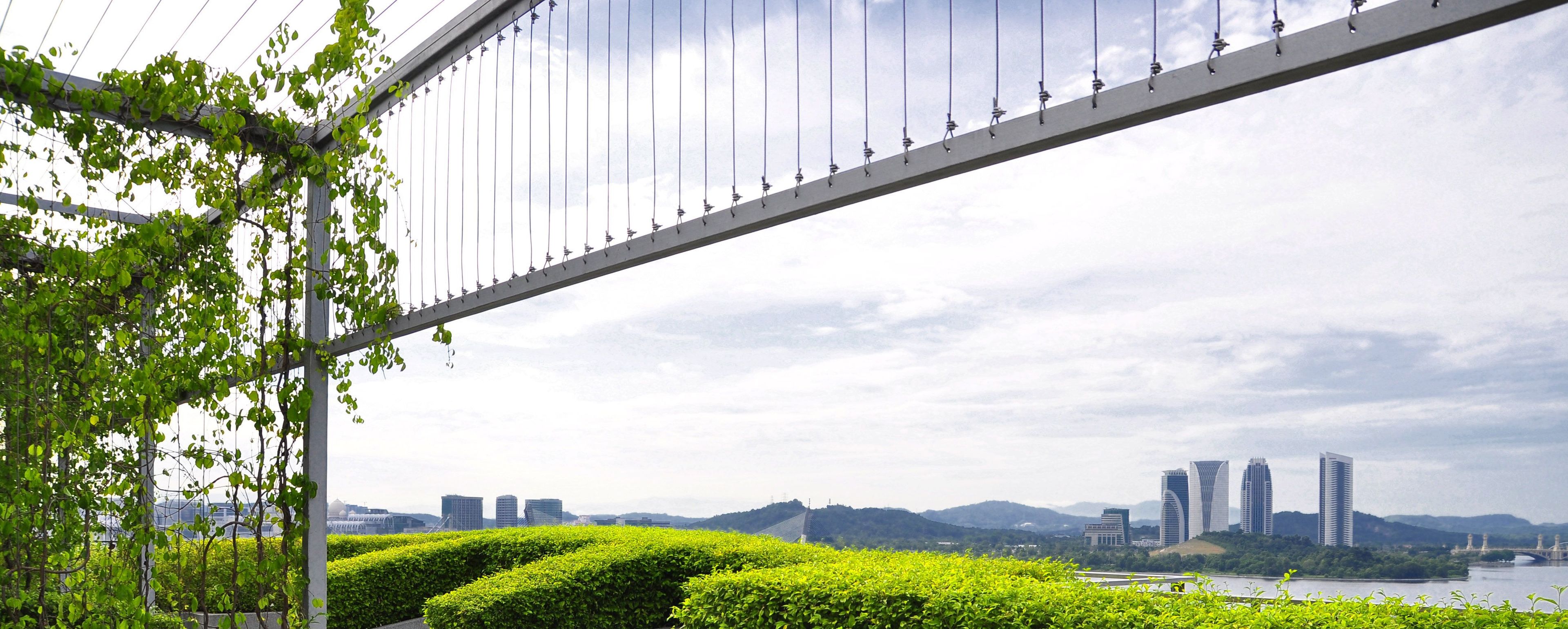Un puente colgante con vegetación al frente y un paisaje urbano al fondo.