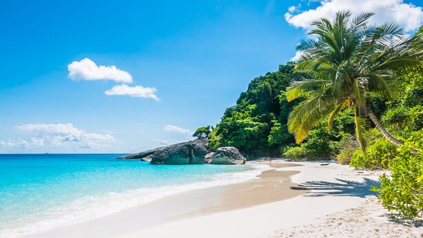 A beach with clear turquoise water, white sand, and lush greenery. - Navy Hotel Danang (Da Nang)
