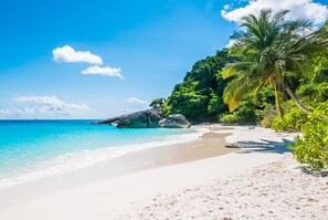 A beach with clear turquoise water, white sand, and lush greenery. - Navy Hotel Danang (Da Nang)
