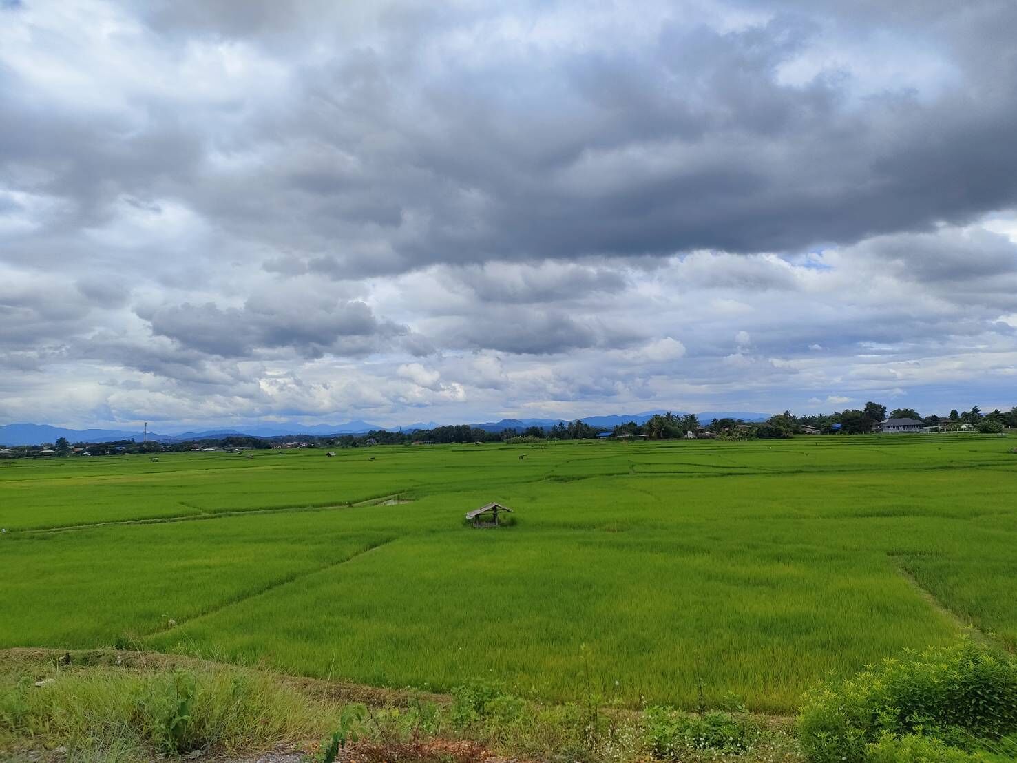 A vast green field under a cloudy sky.