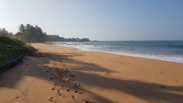 Beach nearby, beach shuttle, 20 beach bars, fishing