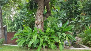 Jardín