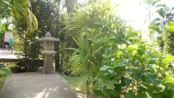 Vườn