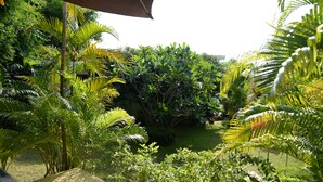 A lush garden with various tropical plants and a wooden deck. - Bangsaray Villa (Sattahip)