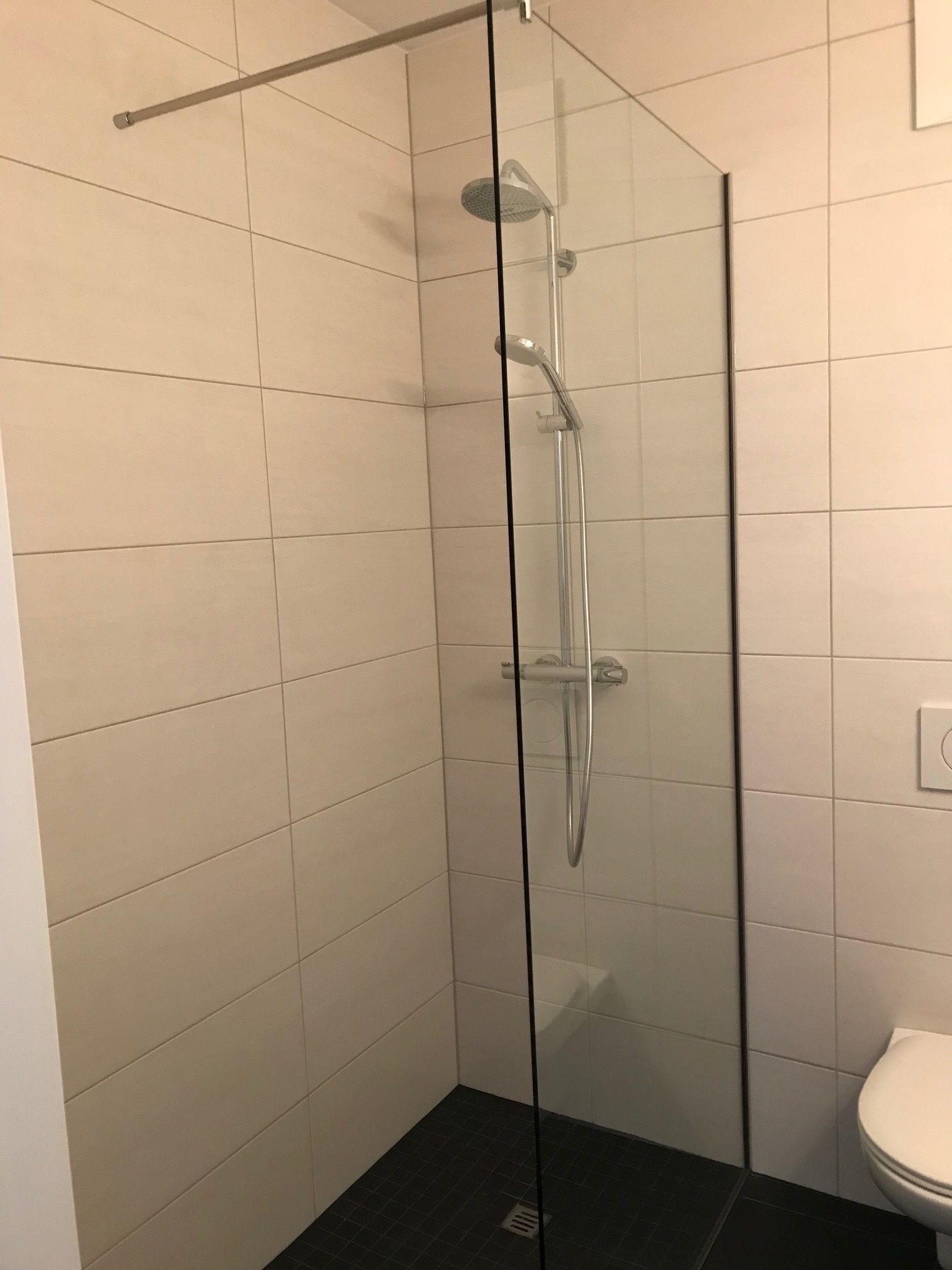Une cabine de douche fermée par des parois en verre, dotée d’un pommeau de douche à main, d’une porte en verre et de toilettes blanches situées à droite.