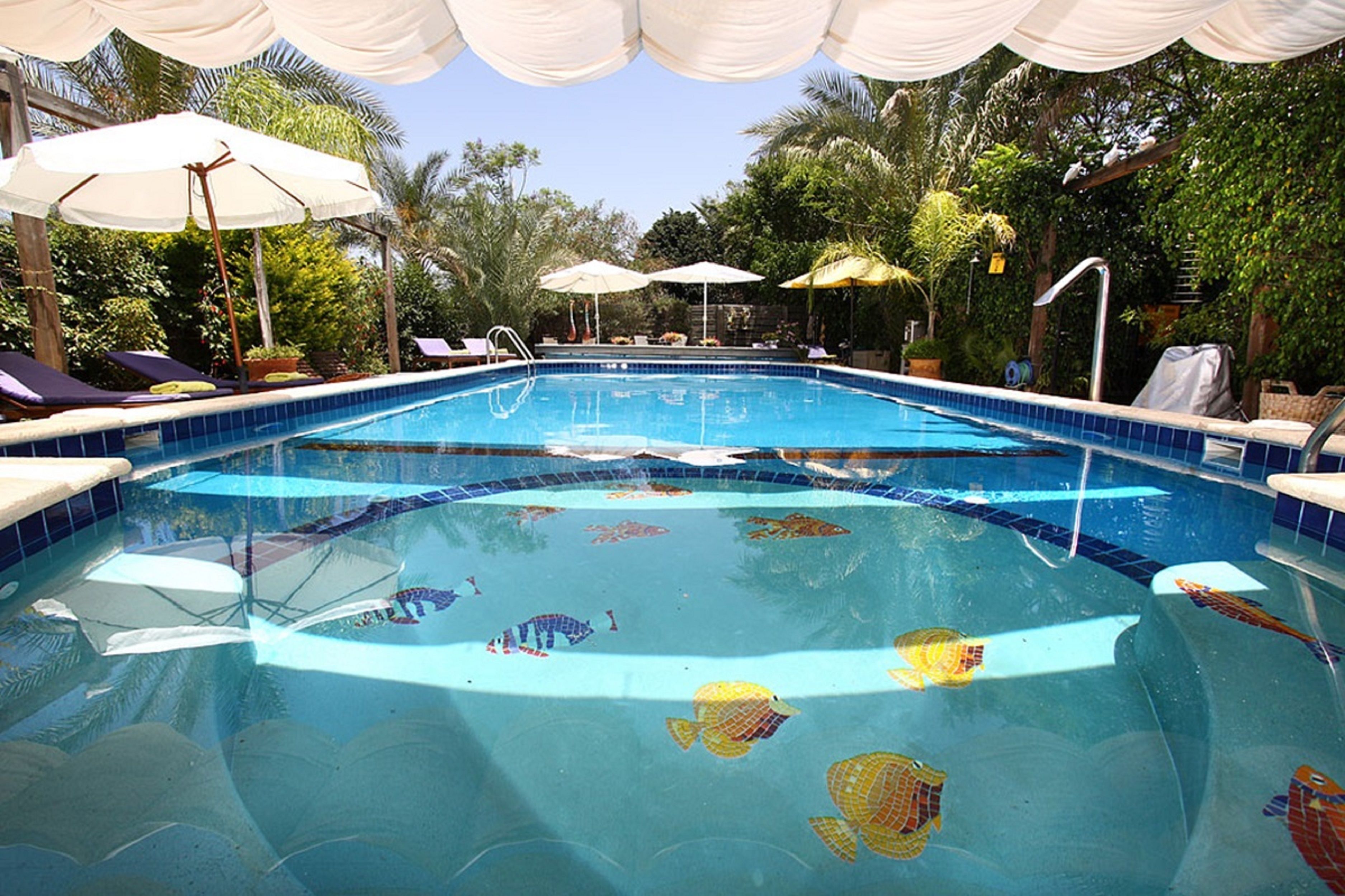 Una piscina con sillas de descanso y sombrillas, rodeada de follaje.