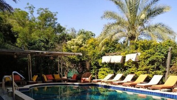 Piscina com espreguiçadeiras e área coberta, rodeada por palmeiras e vegetação.