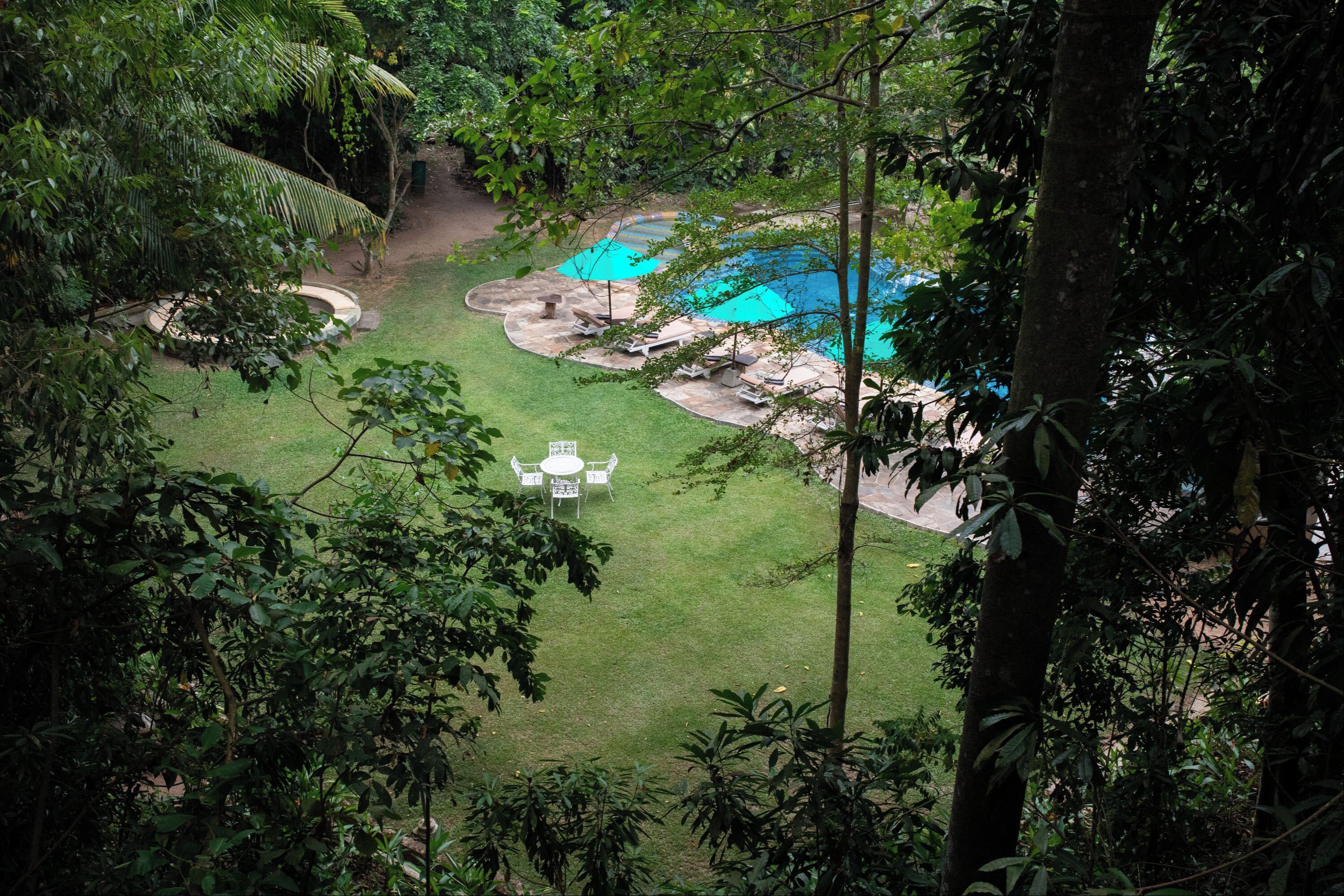 A lush, green outdoor area with a swimming pool, surrounded by trees and a small patio with a table and chairs.