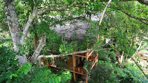 Una casa d'arbri de fusta amb un balcó, envoltada de vegetació abundant.