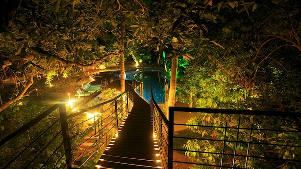 Un passeig nocturn amb baranes, envoltat de vegetació densa i il·luminat per llums de cadena.