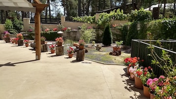 Un jardín con plantas en macetas y una pérgola.