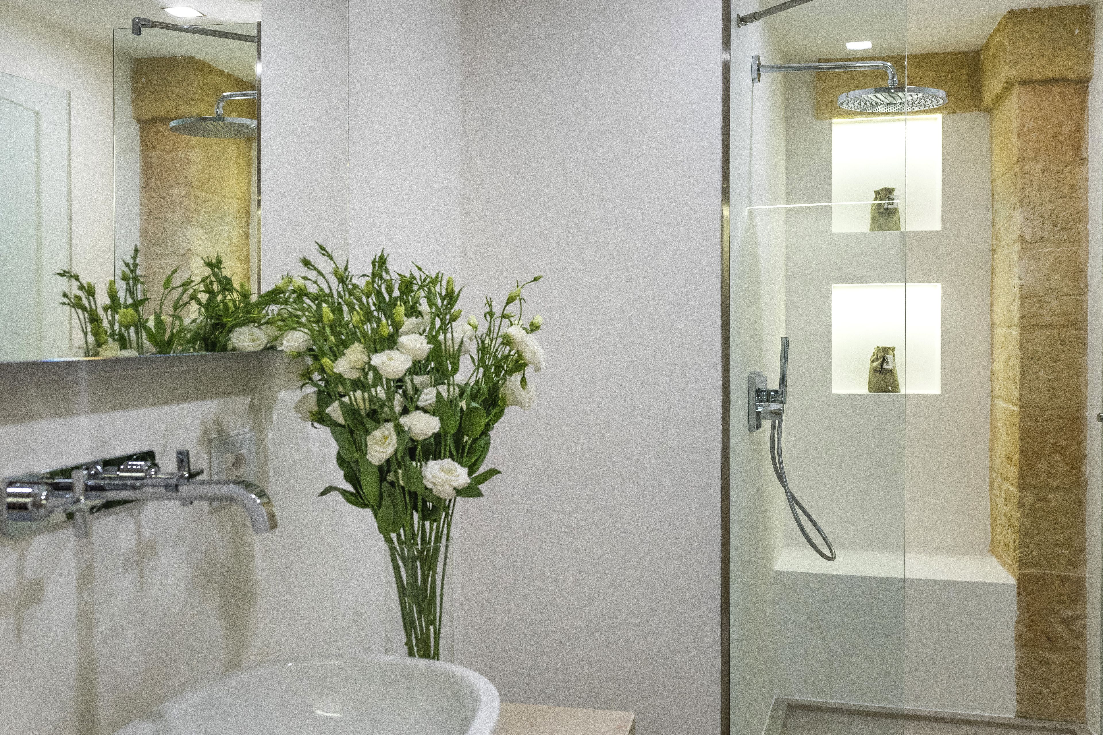 Douche de la salle de bain