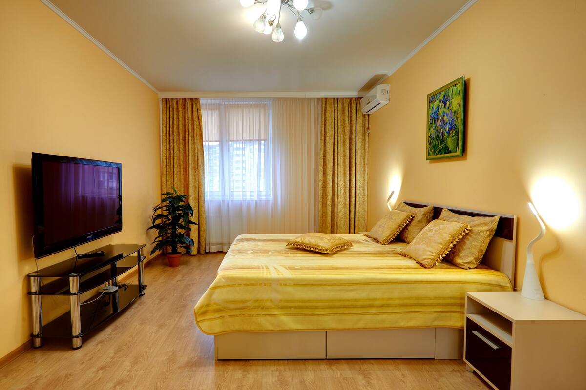 A hotel room with a large bed, a television, and a potted plant.