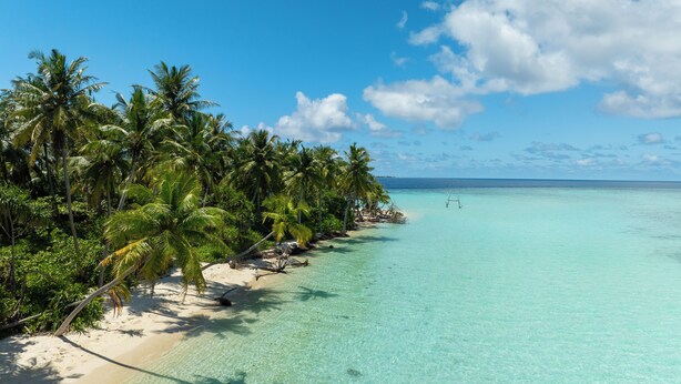 Playa privada y buceo 