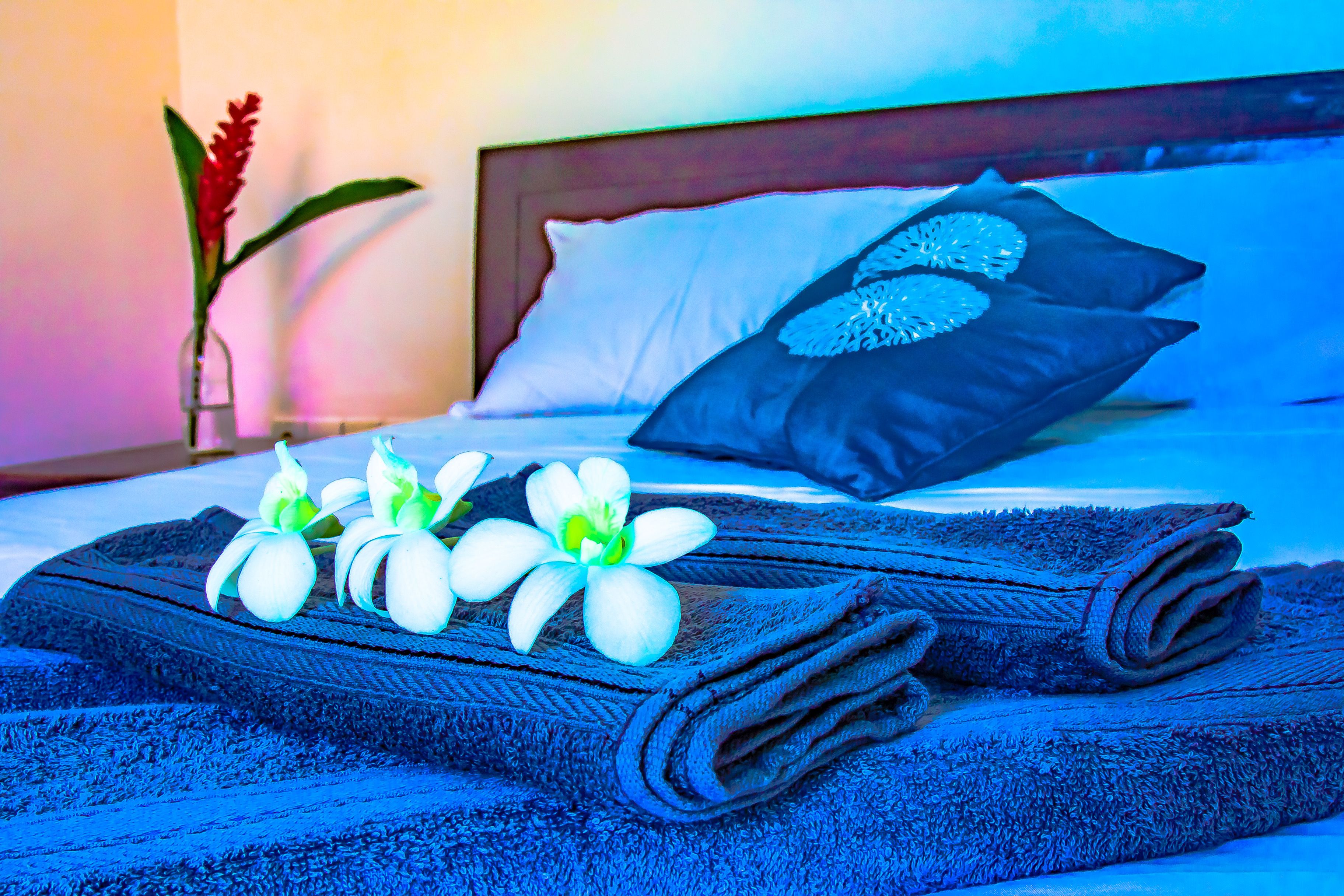 Deluxe Room | Desk, soundproofing, rollaway beds, free WiFi