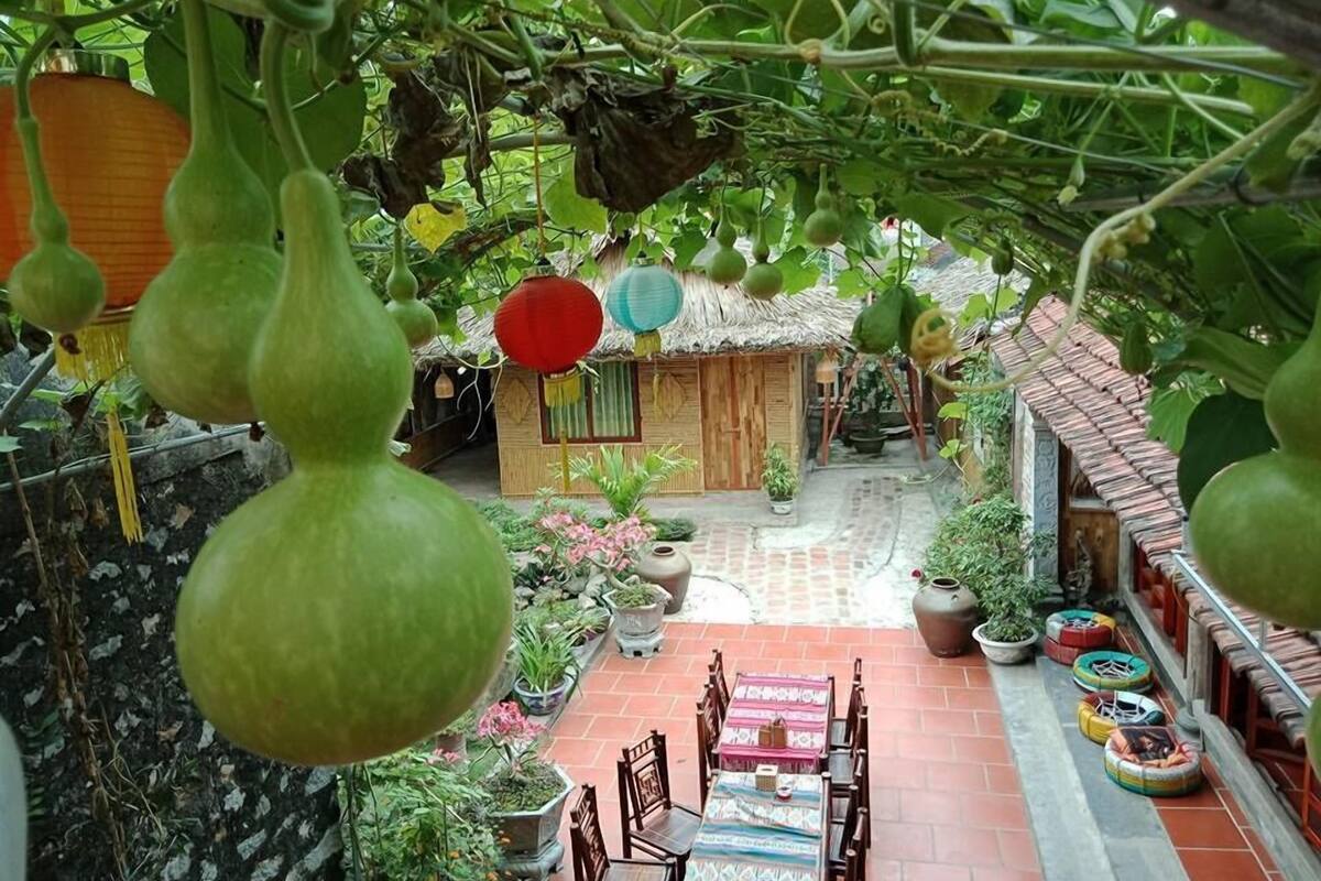 A courtyard with hanging green gourds, a thatched-roof hut, potted plants, and a tiled patio area.