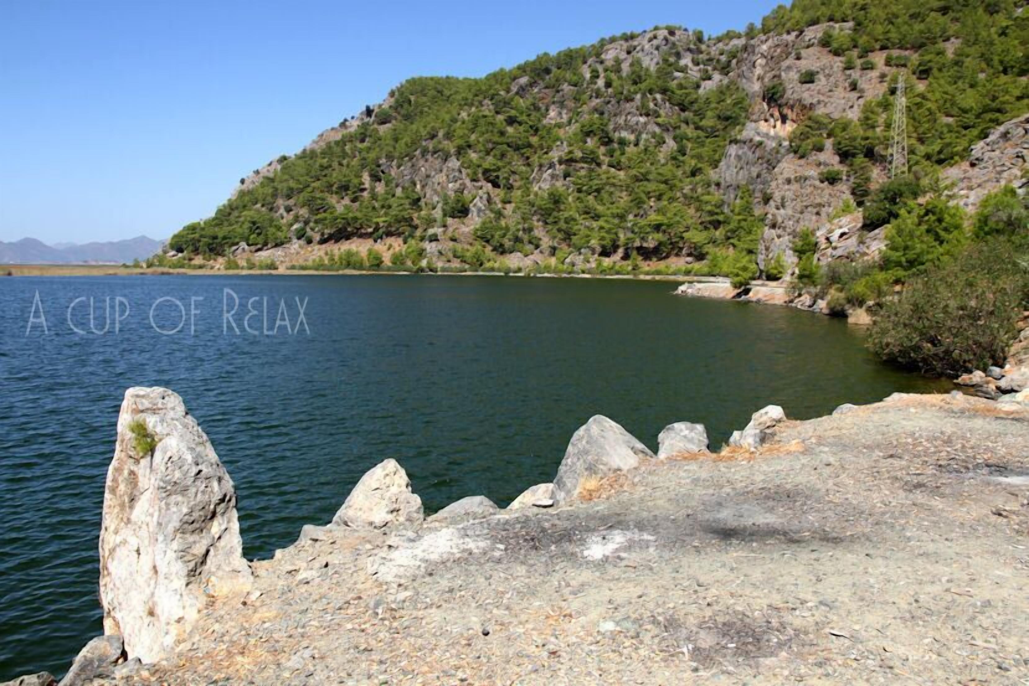 Ein ruhiger See mit felsigen Ufern und einem bewaldeten Hügel im Hintergrund.