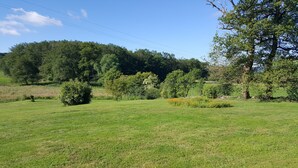A grassy field with trees and a clear sky. - Gîtes de Campagne (Fursac)