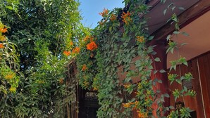 Un bâtiment rustique en bois, avec le numéro « 106 » sur la porte, entouré d’une végétation luxuriante et de plantes grimpantes en fleurs.