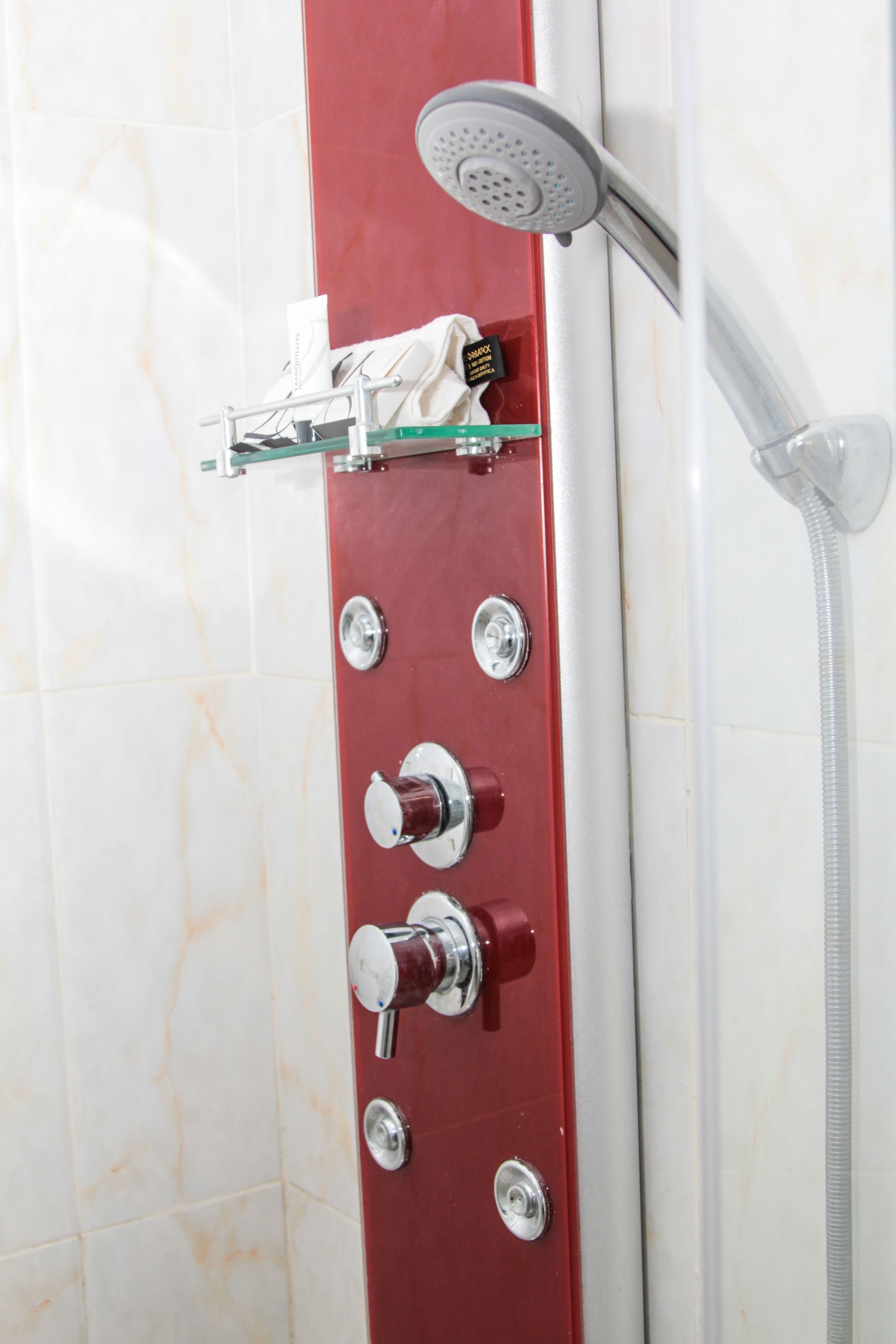 Eine Dusche mit Handbrause und einer fest installierten Bedienpanel.
