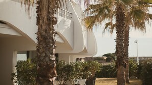 Un edificio moderno con fachada curva, rodeado de palmeras y plantas en macetas.