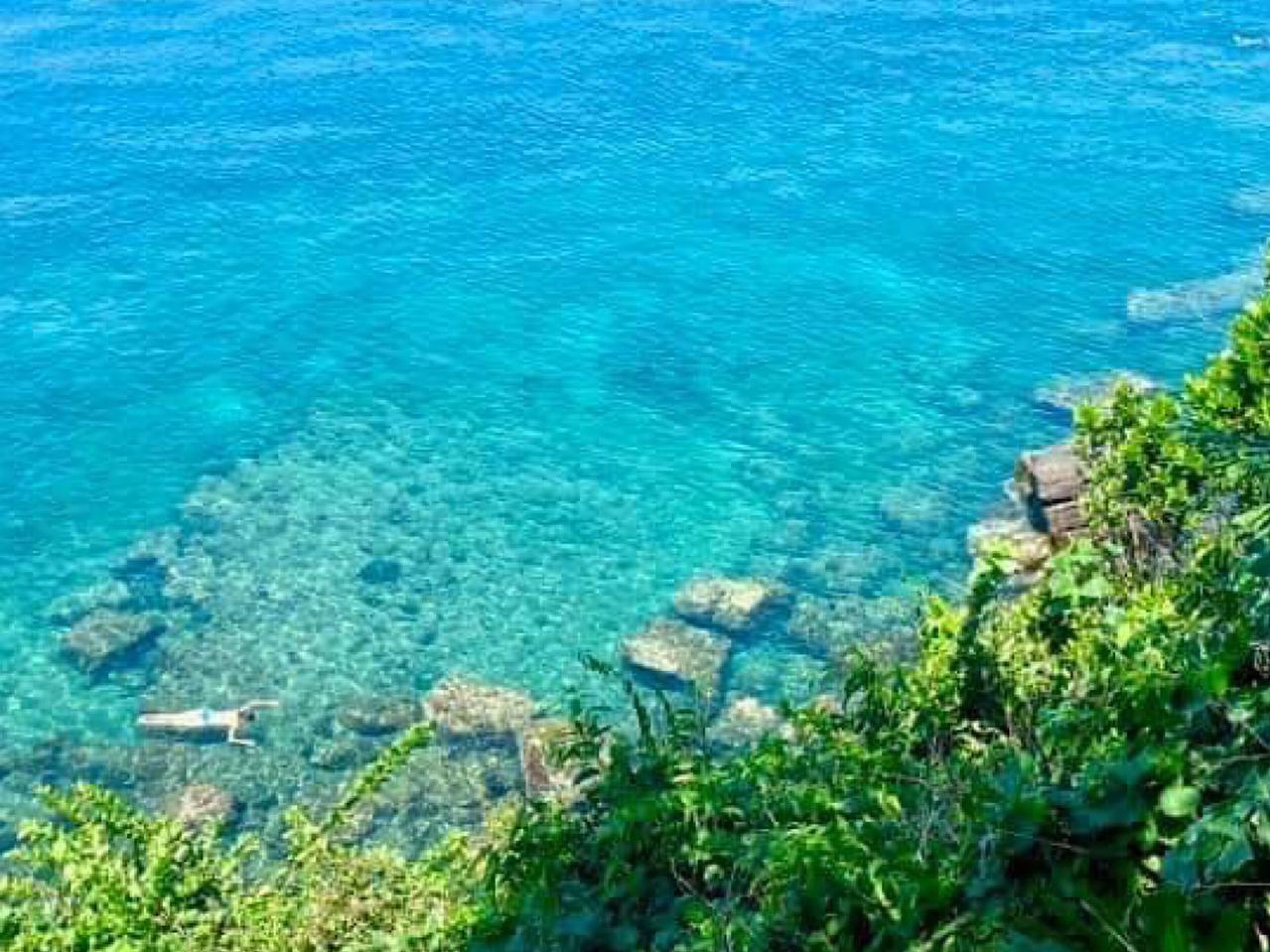 A clear view of a coastal area with rocky outcrops and lush greenery.