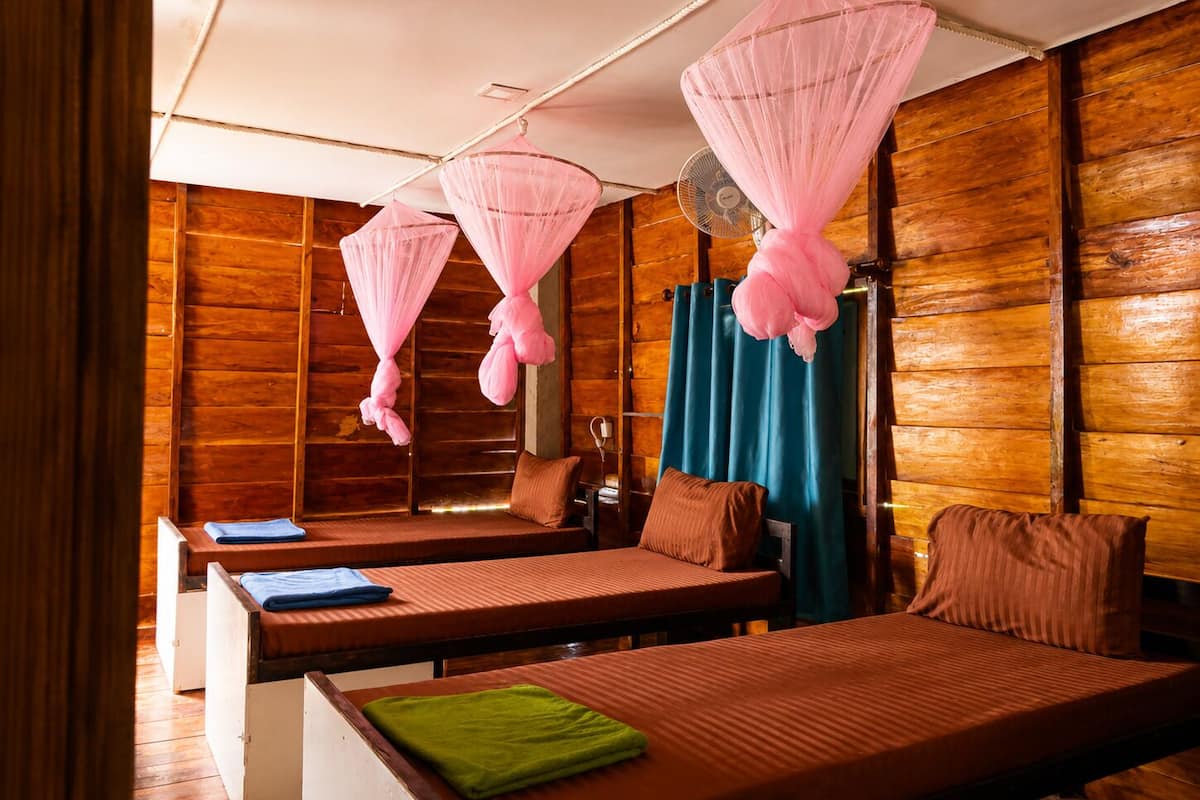 A room with wooden walls, two beds with brown mattresses, a fan, and pink canopy beds.