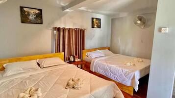 Habitación Deluxe con 2 camas individuales | Caja fuerte, escritorio, wifi gratis