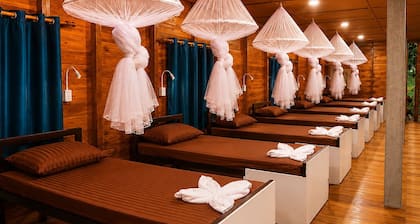 The Cliff Hostel