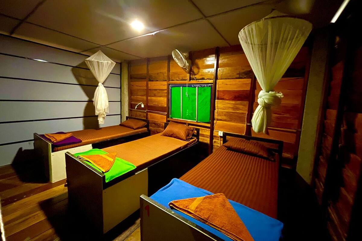 A room with wooden walls, a bed with a mosquito net, a bench, and a green screen.