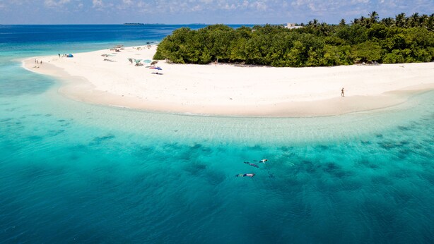 An aerial view of a beach with clear turquoise waters, a sandy shore, and a dense forested area.