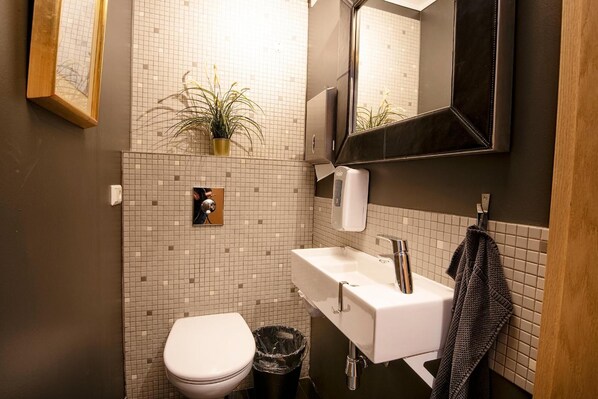 A bathroom with a toilet, sink, mirror, and a potted plant. - B14 Hostel (Reykjavik)