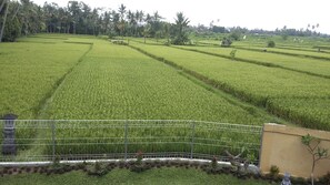 View from property - Bali Lane Villa (Ubud)