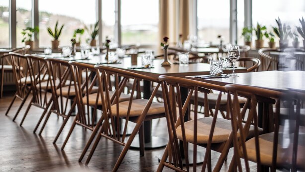 A restaurant with wooden tables and chairs, potted plants, and a view through large windows. - Guesthouse Hill (Hrunamannahreppur)