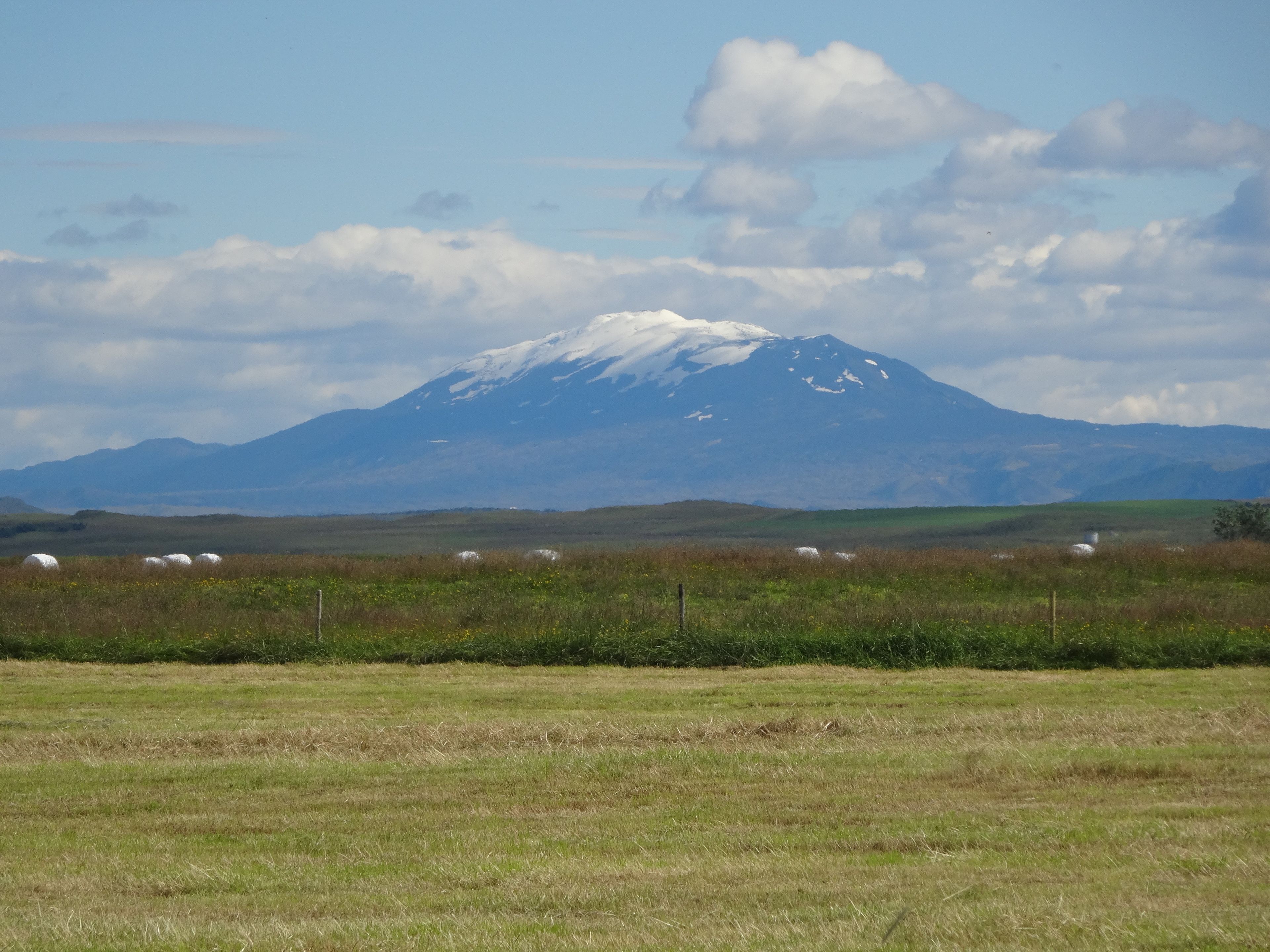 A mountain with a snow-capped peak, a grassy field with sheep, and a cloudy sky.