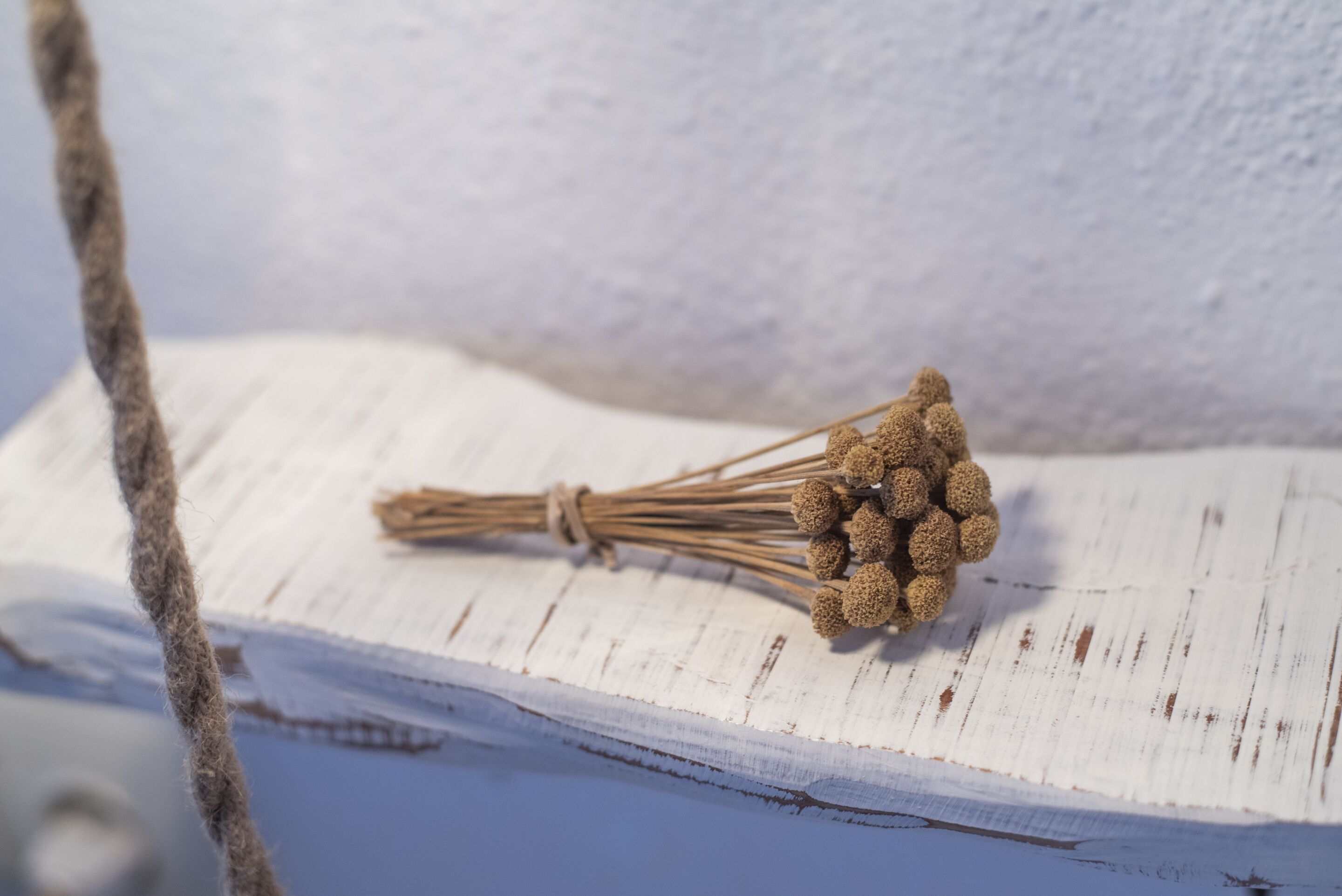 Photo - Agroturismo Can Cosmi Prats