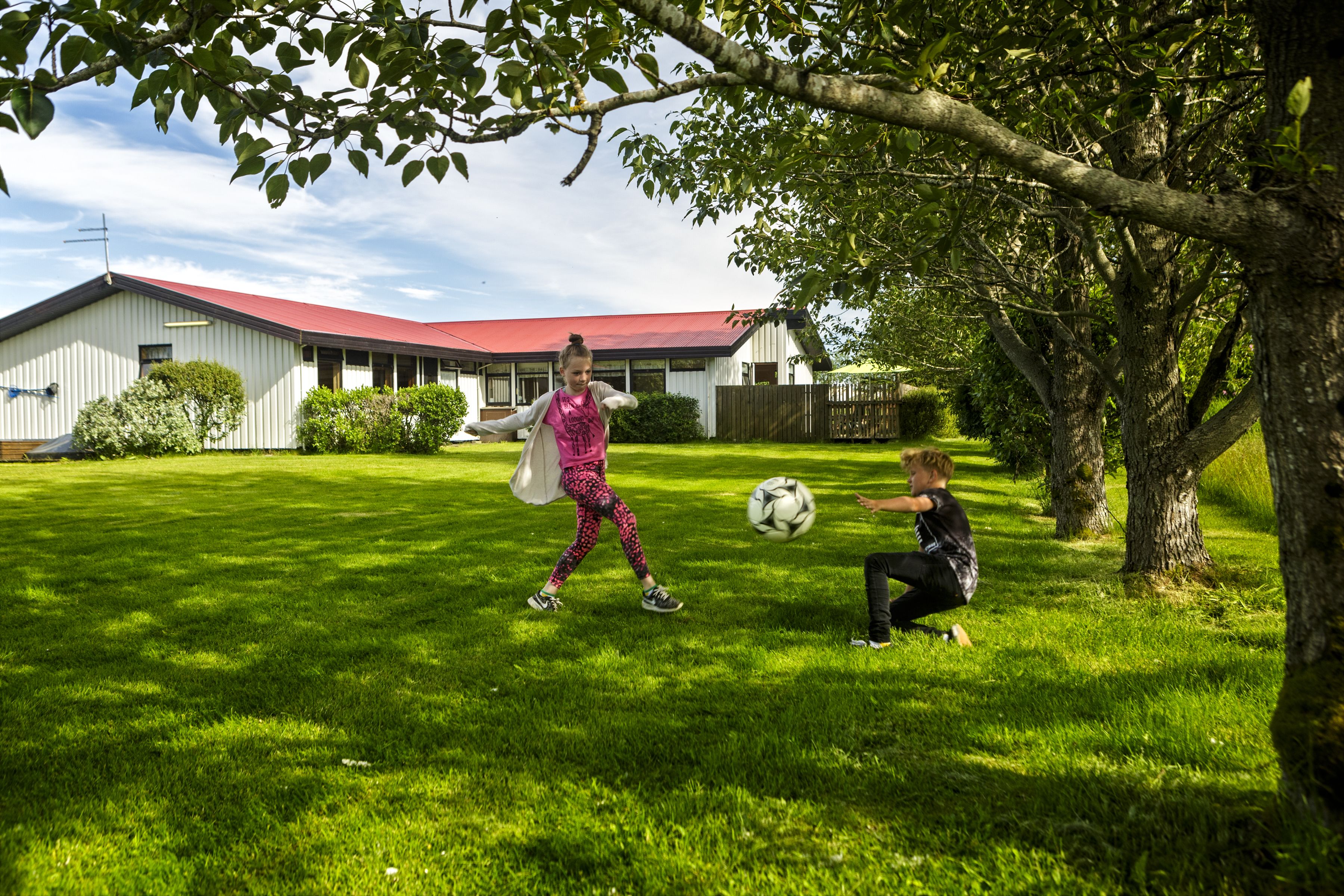 A grassy area with a building in the background.