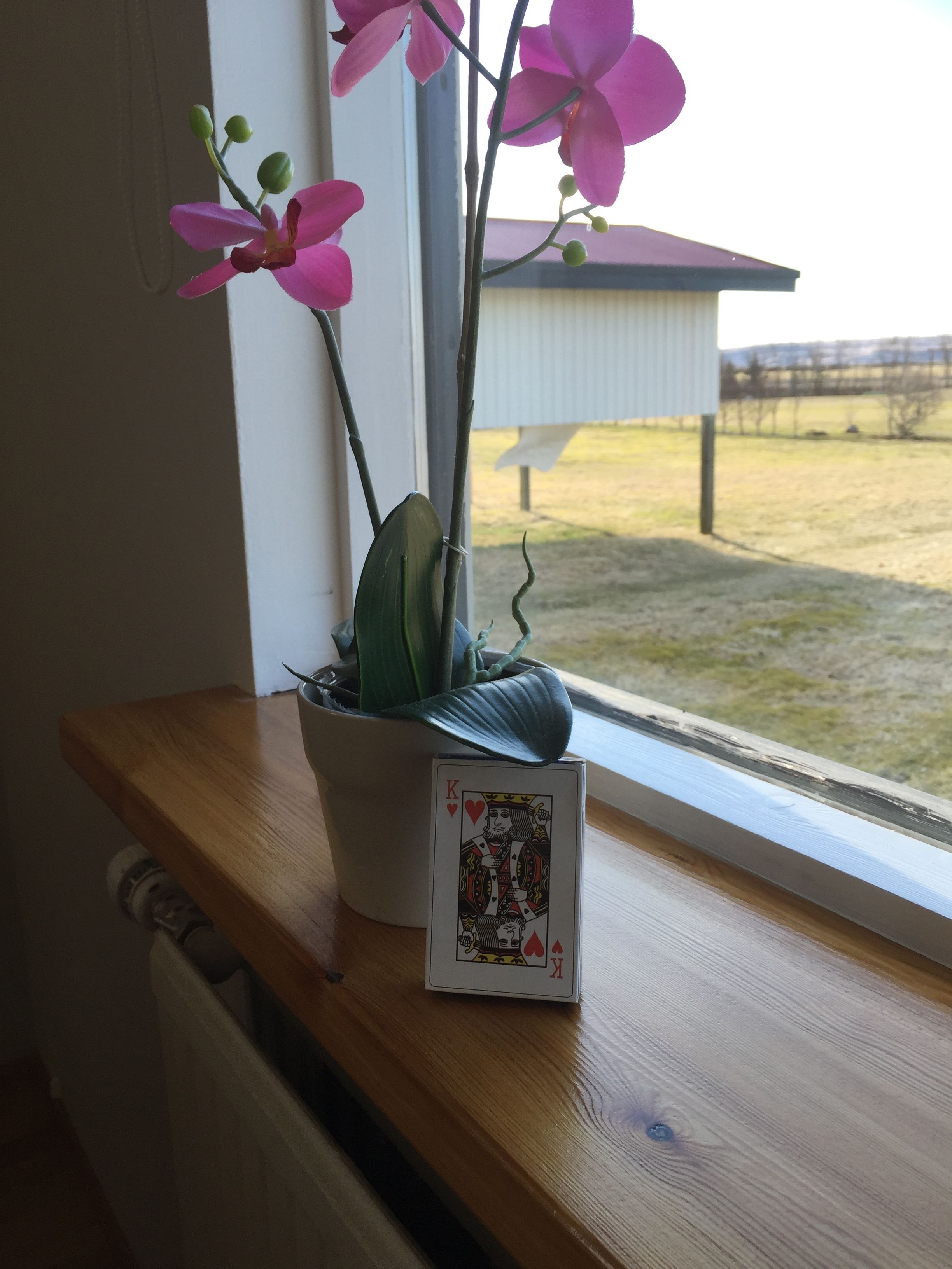 South Central Country Apartment